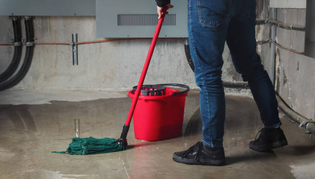 Best Fire Damage Restoration  in Robbins, IL