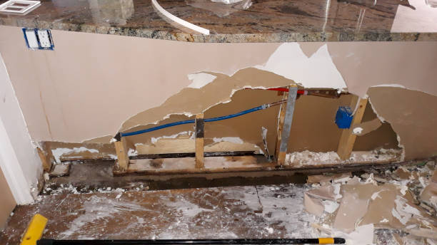Best Carpet water damage restoration  in Robbins, IL