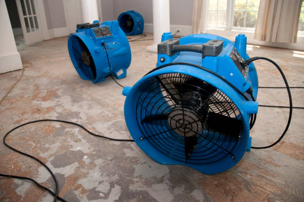 24/7 water damage repair in Robbins, IL