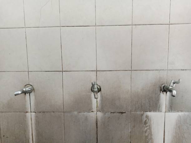 Best Emergency water extraction  in Robbins, IL