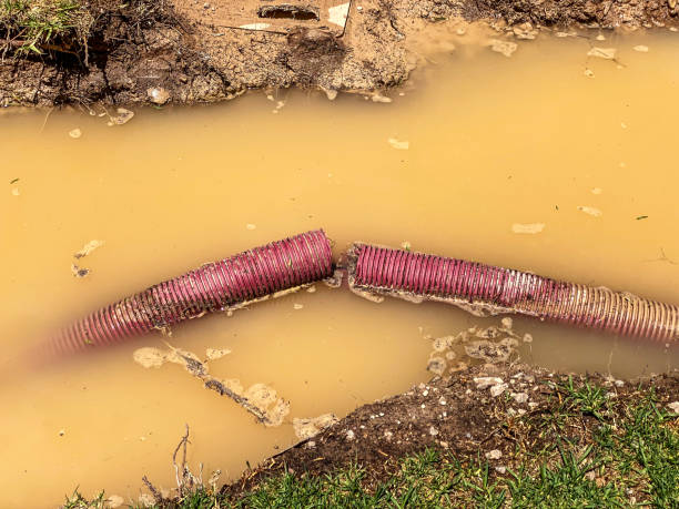 Best 24/7 water damage repair  in Robbins, IL