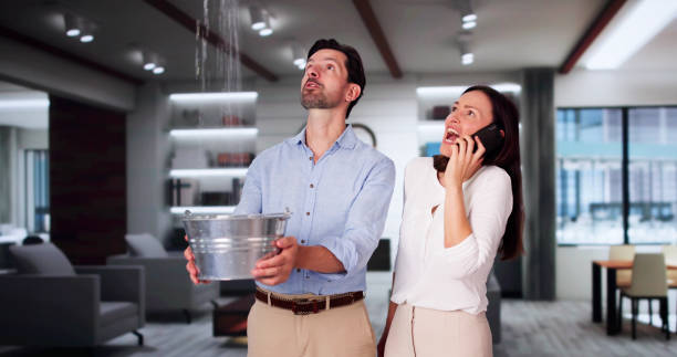 Best Water damage restoration near me  in Robbins, IL